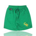 Chrome Hearts Stadium Mesh Shorts Green