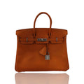 Hermes Birkin 25 Epsom Palladium Hardware Orange