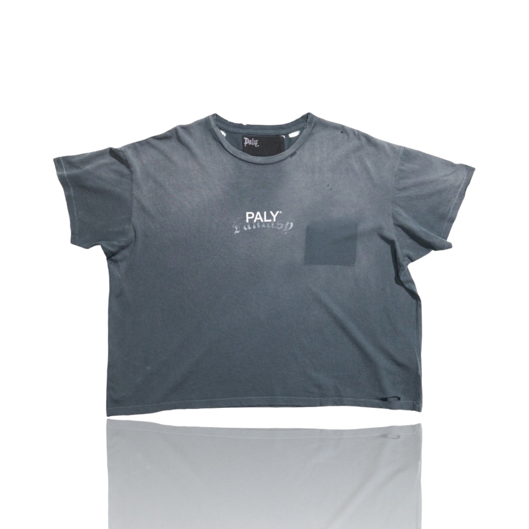 Paly Hollywood Core Logo Distressed Tee Black