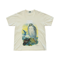 Kith AMNH Falcon Vintage Tee Sandrift