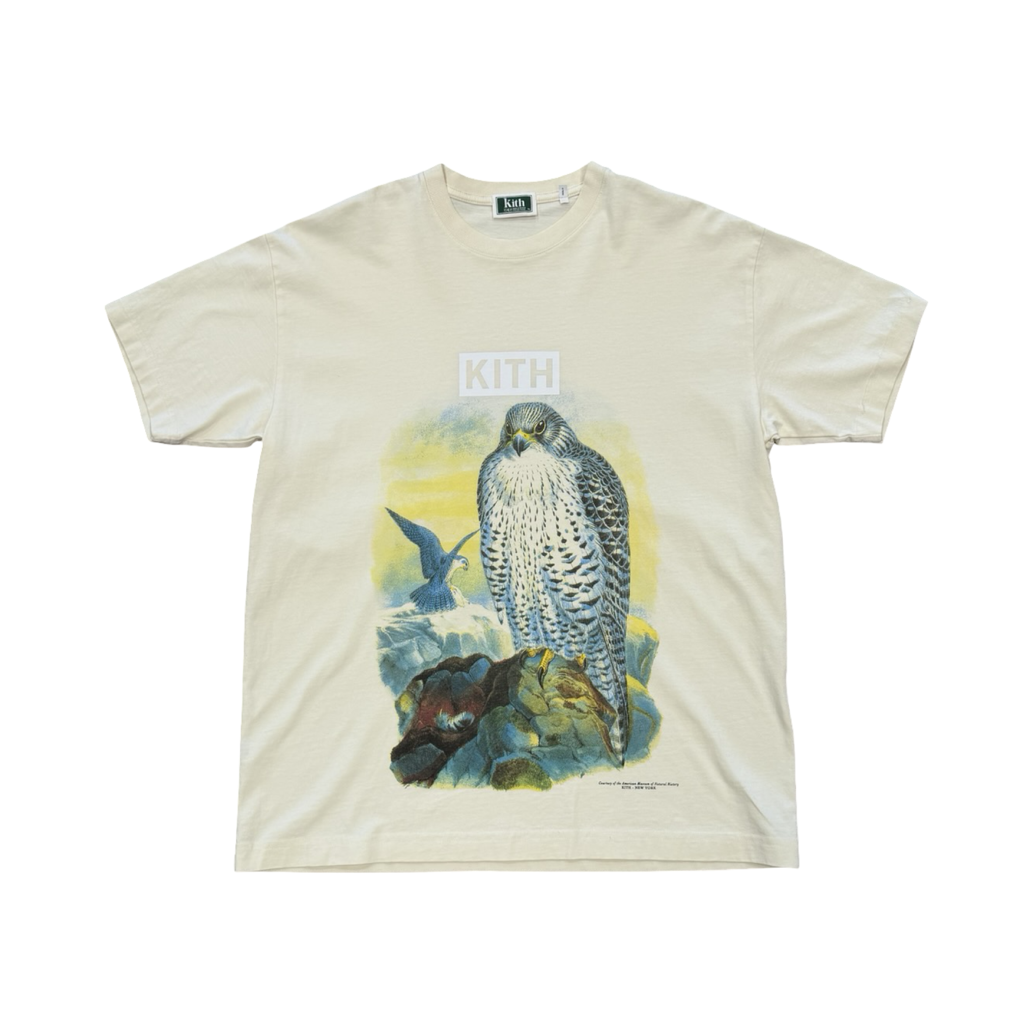Kith AMNH Falcon Vintage Tee Sandrift