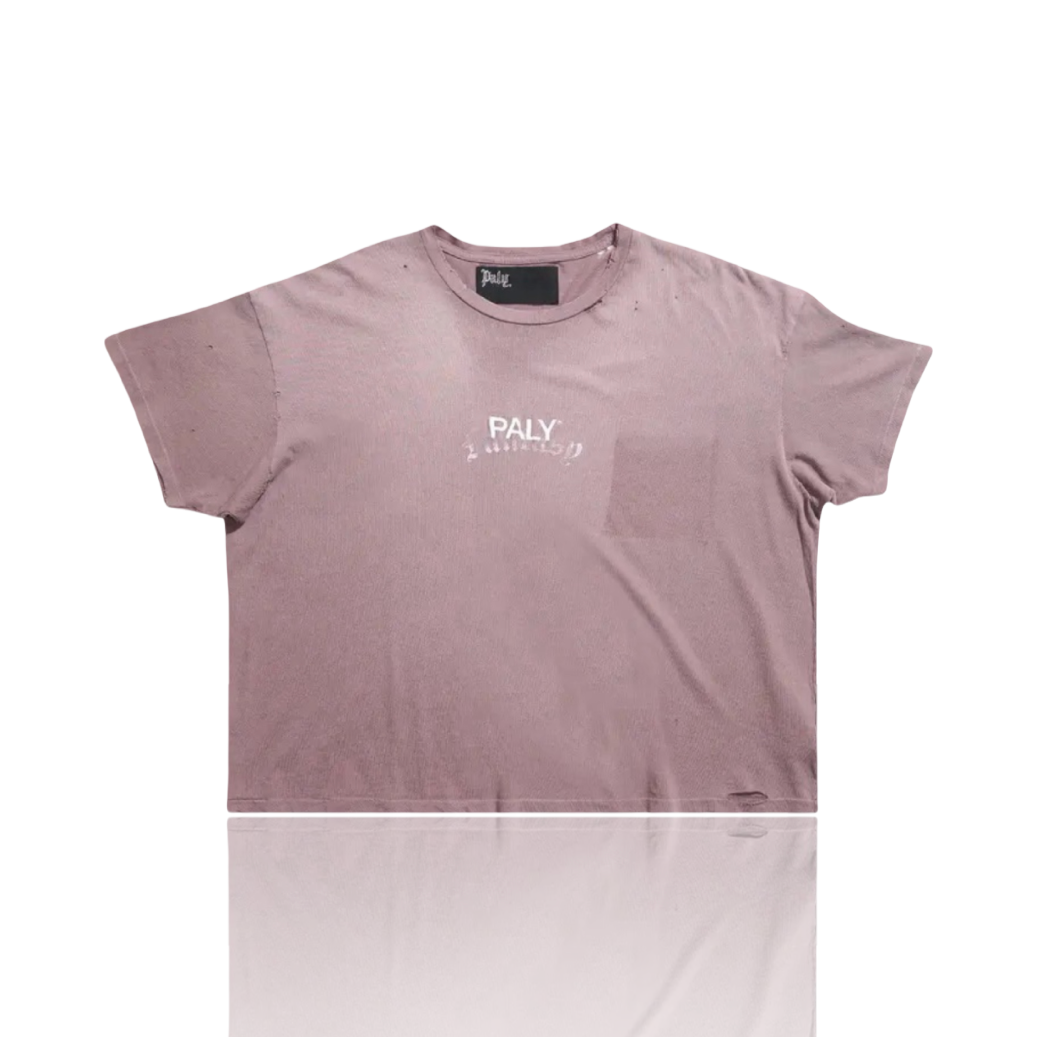 Paly Hollywood Core Logo Distressed Tee Brown