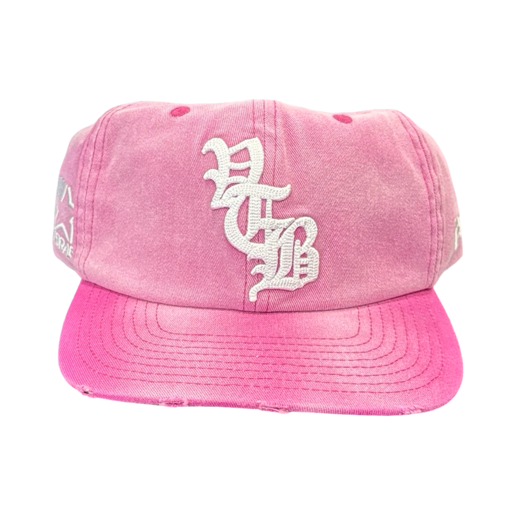 Vertabrae Logo Embroidered  Snapback Pink