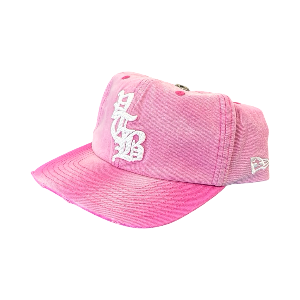 Vertabrae Logo Embroidered  Snapback Pink