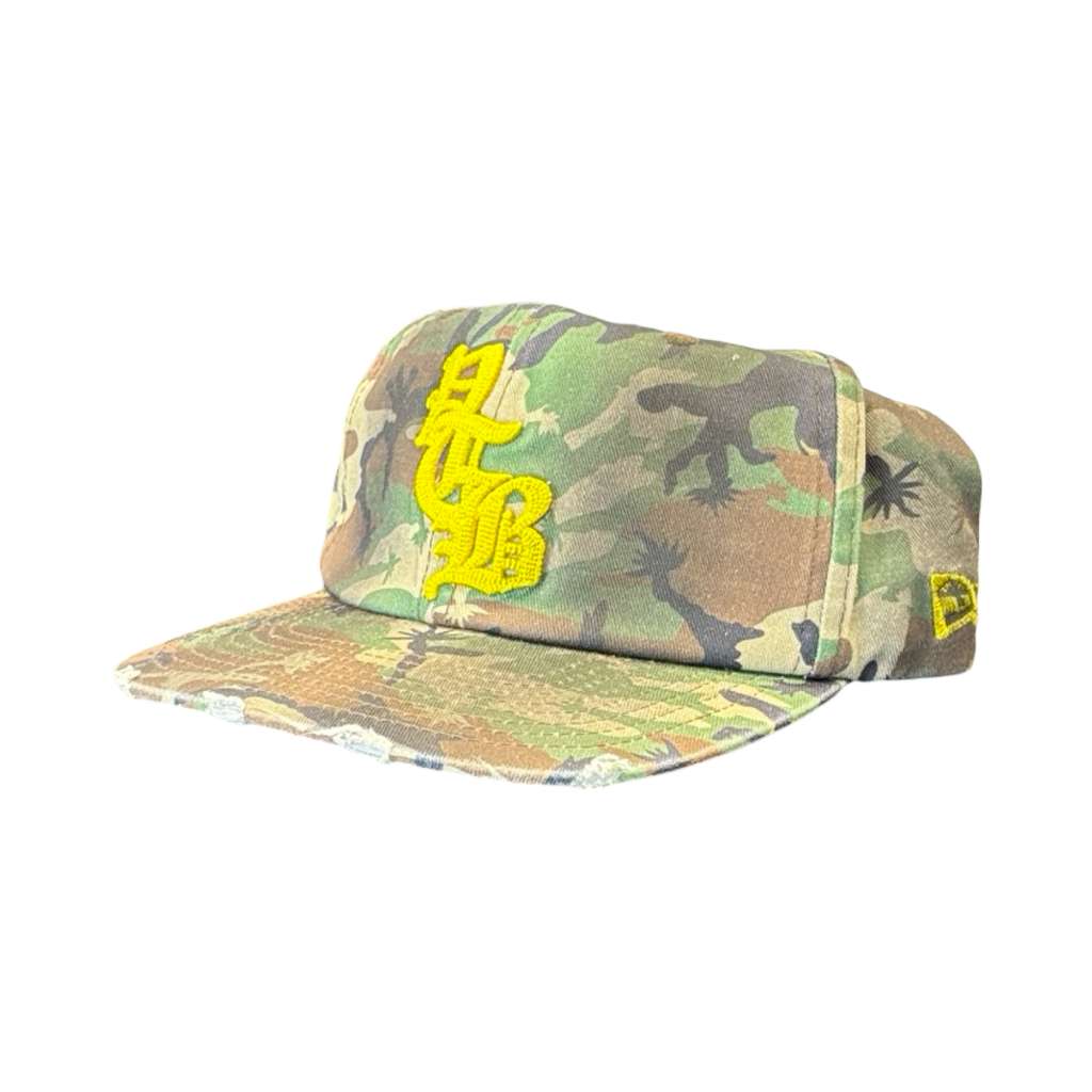 Vertabrae Logo Embroidered  Snapback Camo