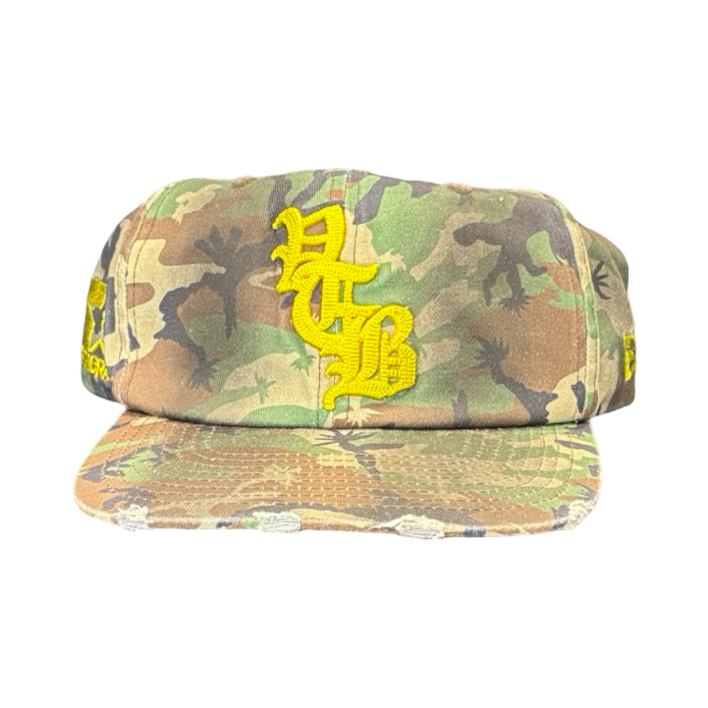 Vertabrae Logo Embroidered  Snapback Camo