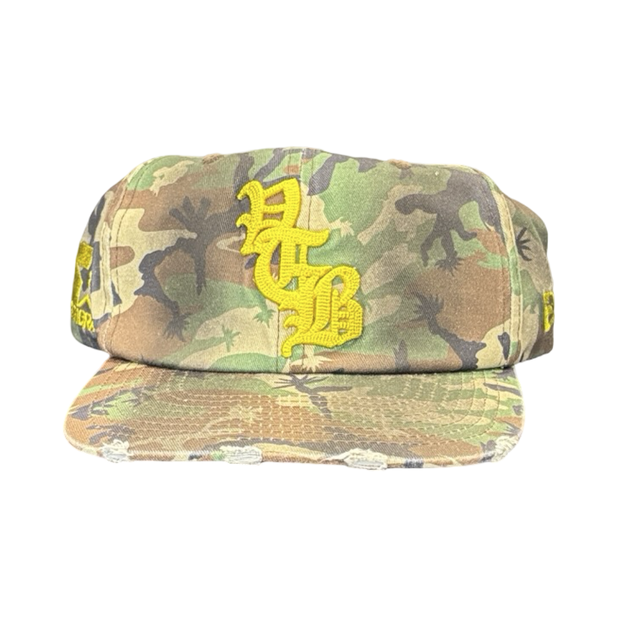 Vertabrae Logo Embroidered  Snapback Camo