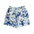 Louis Vuitton Watercolor Monogram Blue SwimShorts