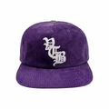 Vertabrae Logo Embroidered Corduroy Snapback Purple